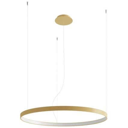 Thoro TH.181 - LED  Lustr na lanku RIO LED /50W/230V CRI 95 4000K pr. 78 cm zlatá